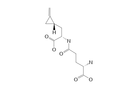 HYPOGLYCIN-B;HGB;GAMMA-L-GLUTAMYL-ALPHA-AMINO-BETA-METHYLENE-CYCLOPROPYL-PROPIONIC-ACID;MINOR-DIASTEREOMER