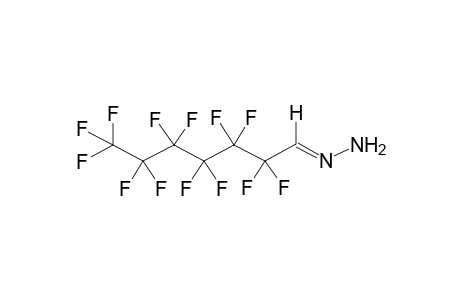 PERFLUOROHEPTANAL HYDRAZONE