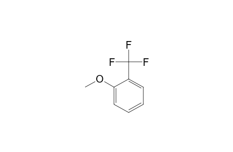 O-(TRIFLUOROMETHYL)-ANISOLE