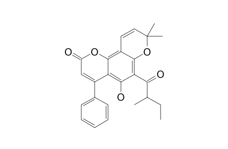 MAMMEA-A/AB-CYCLO-D;MAMMEIGIN;5-HYDROXY-8,8-DIMETHYL-6-(2-METHYLBUTANOYL)-4-PHENYL-2H-PYRANO-[2,3-H]-CHROMEN-2-ONE