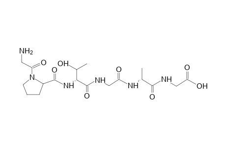 GLYCINE-PROLINE-THREONINE-GLYCINE-ALANINE-GLYCINE PEPTIDE