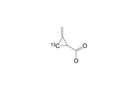 [3-(13)-C1]-(METHYLENECYCLOPROPYL)-FORMIC-ACID