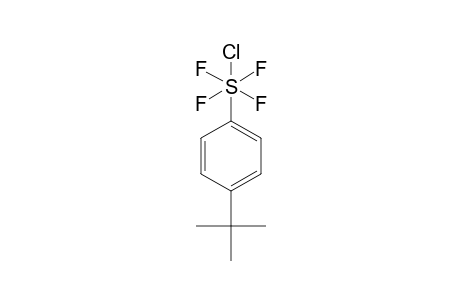 PARA-(TERT.-BUTYL)-PHENYLSULFUR-CHLOROTETRAFLUORIDE;TRANS-ISOMER