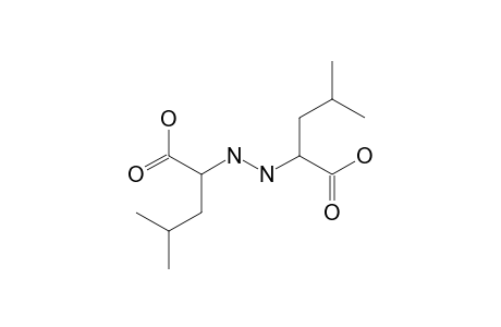 Leucine