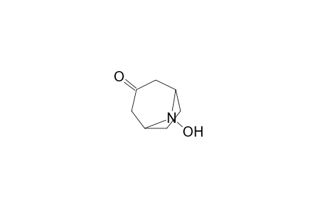 8-Hydroxy-8-azabicyclo[3.2.1]octan-3-one