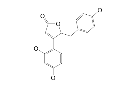 PUEROL A