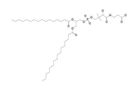 DPP-PAA;1,2-DIPALMITOYL-3-SN-PHOSPHATIDYL-PANTOTHENIC-ACID