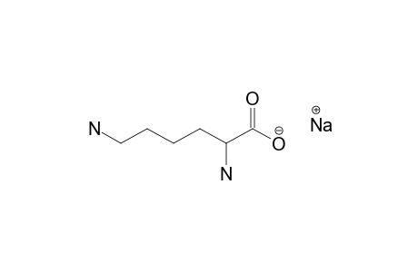 LYSINE;ANION