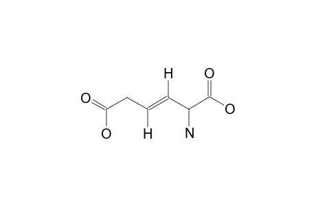 (+/-)-(E)-2-AMINOHEX-3-ENEDIOIC-ACID