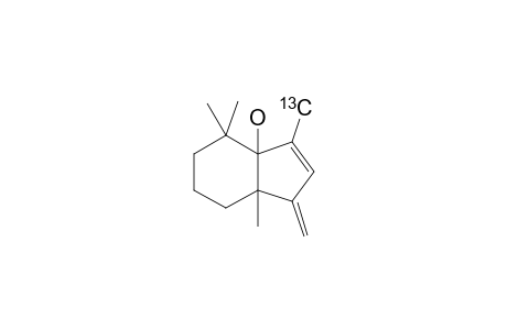 2,2,6,9-TETRAMETHYL-7-METHYLIDENEBICYCLO-[4.3.0]-NON-8-EN-1-OL