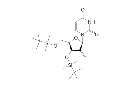 1-(2-Deoxy-2-methylene-3,5-O-bis(tert-butyldimethylsilyl)-.beta.,D-erythro-pentahydrofuranosyl)uracil