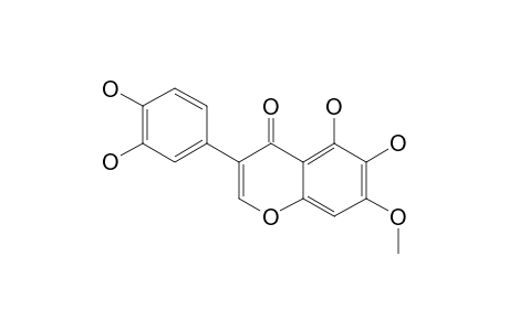 7-METHOXY-3',4',5,6-TETRAHYDROXYISOFLAVONE