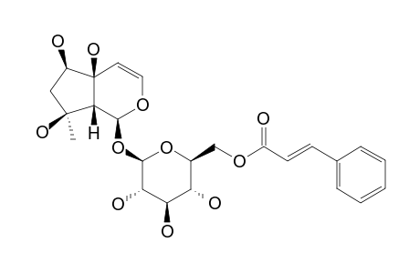 6'-O-CINNAMOYL-HARPAGIDE