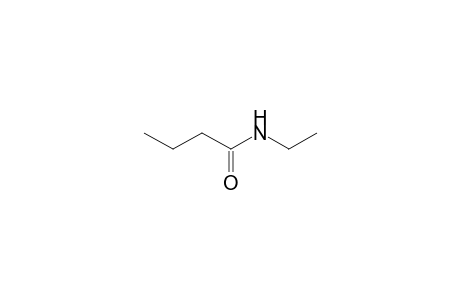 Butanamide, N-ethyl-