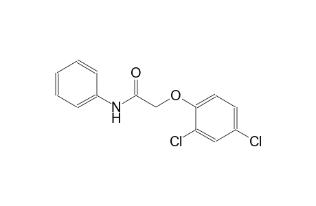 2-(2,4-dichlorophenoxy)-N-phenylacetamide