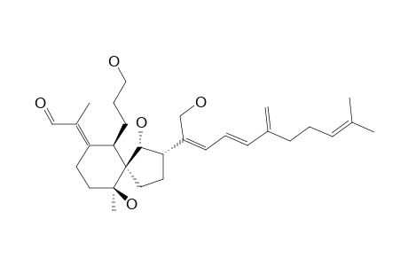 IRIDOTECTORAL-B;IRIDOTECORAL-B