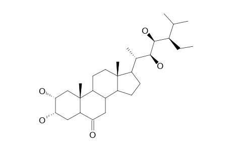 HOMO-CASTASTERONE