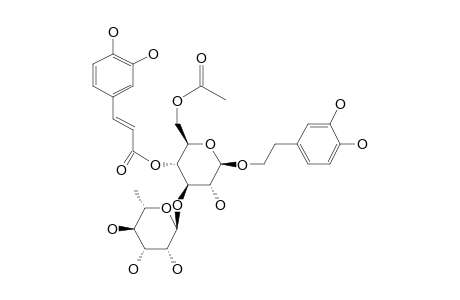 6'-O-ACETYLACTEOSIDE