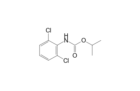 2,6-dichlorocarbanilic acid, isopropyl ester