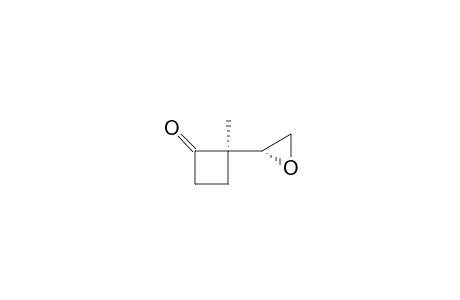 Cyclobutanone, 2-methyl-2-oxiranyl-, (R*,R*)-