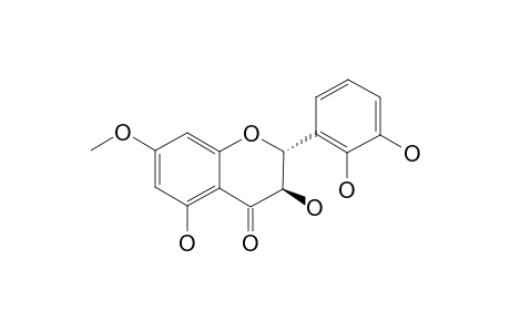 3,5,2'3'-TETRAHYDROXY-7-METHOXYFLAVANONE