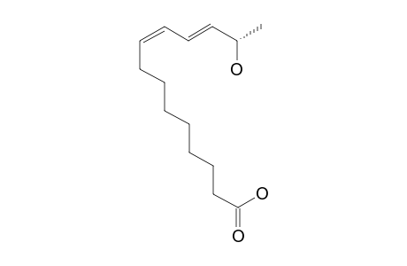 (13-S,9-Z,11-E)-13-HYDROXY-9,11-TETRADECADIENOIC-ACID