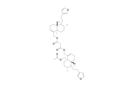 BACCHALEJIN-3