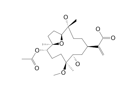 DENDRONPHOLIDE_K