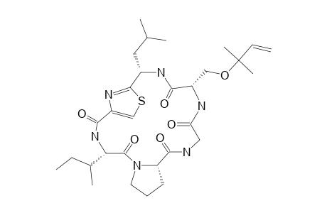 MOLLAMIDE_C