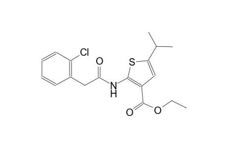 ethyl 2-{[(2-chlorophenyl)acetyl]amino}-5-isopropyl-3-thiophenecarboxylate