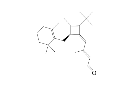 (3E)-2-TERT.-BUTYL-3-[(2E)-3-FORMYL-2-METHYLPROP-2-ENYLIDENE]-1-METHYL-4-[(2,6,6-TRIMETHYLCYCLOHEX-1-EN-1-YL)-METHYL]-CYCLOBUT-1-ENE