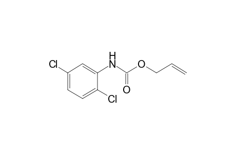 2,5-dichlorocarbanilic acid, allyl ester