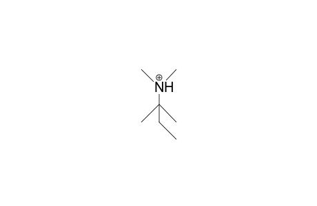 Dimethyl-T-pentyl-ammonium cation