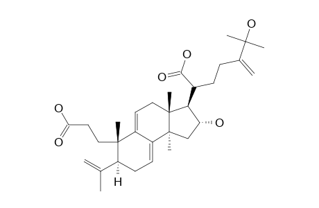 PORICOIC-ACID-D;16-ALPHA,25-DIHYDROXY-3,4-SECO-LANOSTA-4(28),7,9(11),24(31)-TETRAEN-3,21-DIOIC-ACID