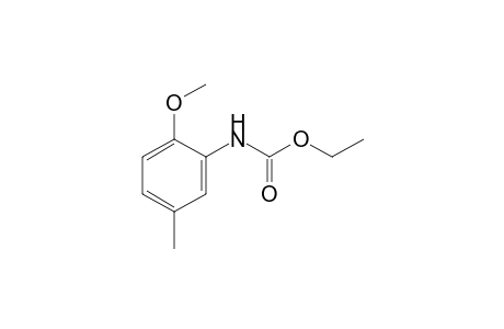 2-methoxy-5-methylcarbanilic acid, ethyl ester