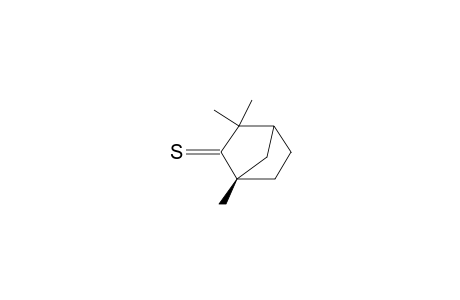 (-)-THIOFENCHONE;(1R)-2-THIONE-1,3,3-TRIMETHYLBICYCLO-[2.2.1]-HEPTANE