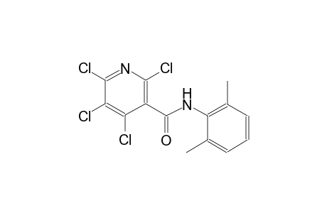 2,4,5,6-Tetrachloro-N-(2,6-dimethyl-phenyl)-nicotinamide