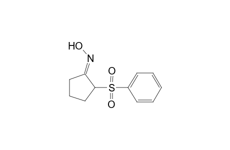 2-Phenylsulfonylcyclopentan-1-one oxime