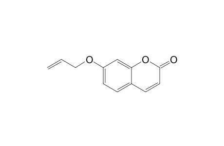 7-Allyloxycoumarin