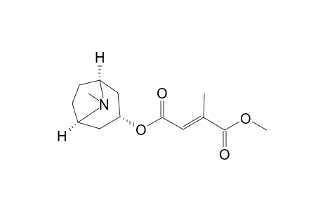 3-ALPHA-METHYL-MESACONYLOXYTROPANE