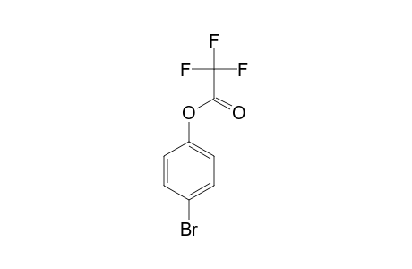 4-BROMO-PHENYL-TRIFLUOROACETATE