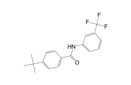 4-tert-butyl-N-[3-(trifluoromethyl)phenyl]benzamide