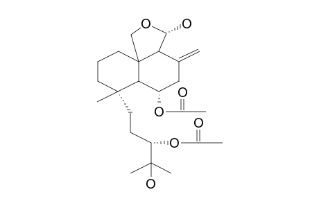 SACCULAPLAGIN