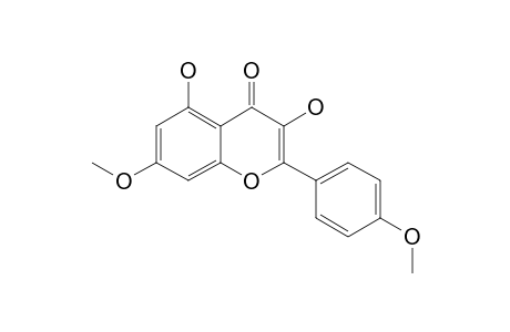 ERMANIN;7,4'-DI-O-METHYLKAEMPFEROL