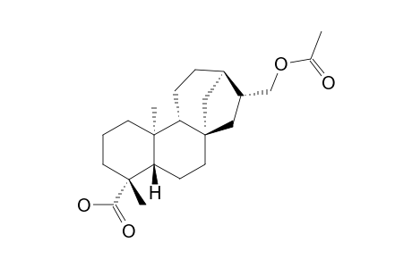 17-ACETOXY-16-BETA-ENT-KAURAN-19-OIC-ACID