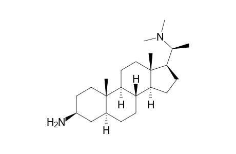 (3S,5S,8R,9S,10S,13S,14S,17S)-17-[(1S)-1-(dimethylamino)ethyl]-10,13-dimethyl-2,3,4,5,6,7,8,9,11,12,14,15,16,17-tetradecahydro-1H-cyclopenta[a]phenanthren-3-amine