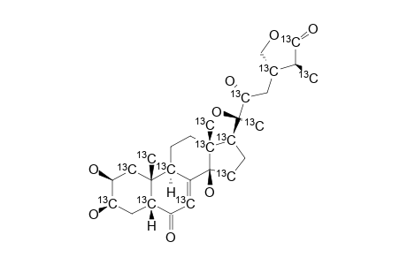 29-NOR-CYASTERONE