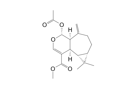 PLAGIOCHILINE-M