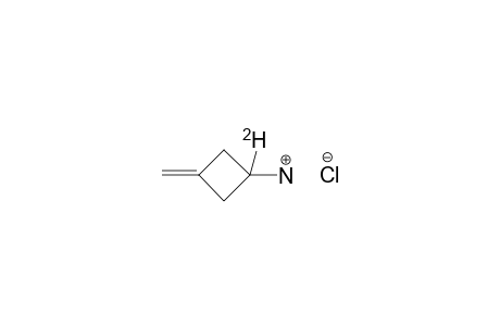 1-DEUTERO-3-METHYLENE-CYCLOBUTYLAMINE-HYDROCHLORIDE