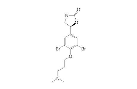 PSEUDOCERALIDINONE_A